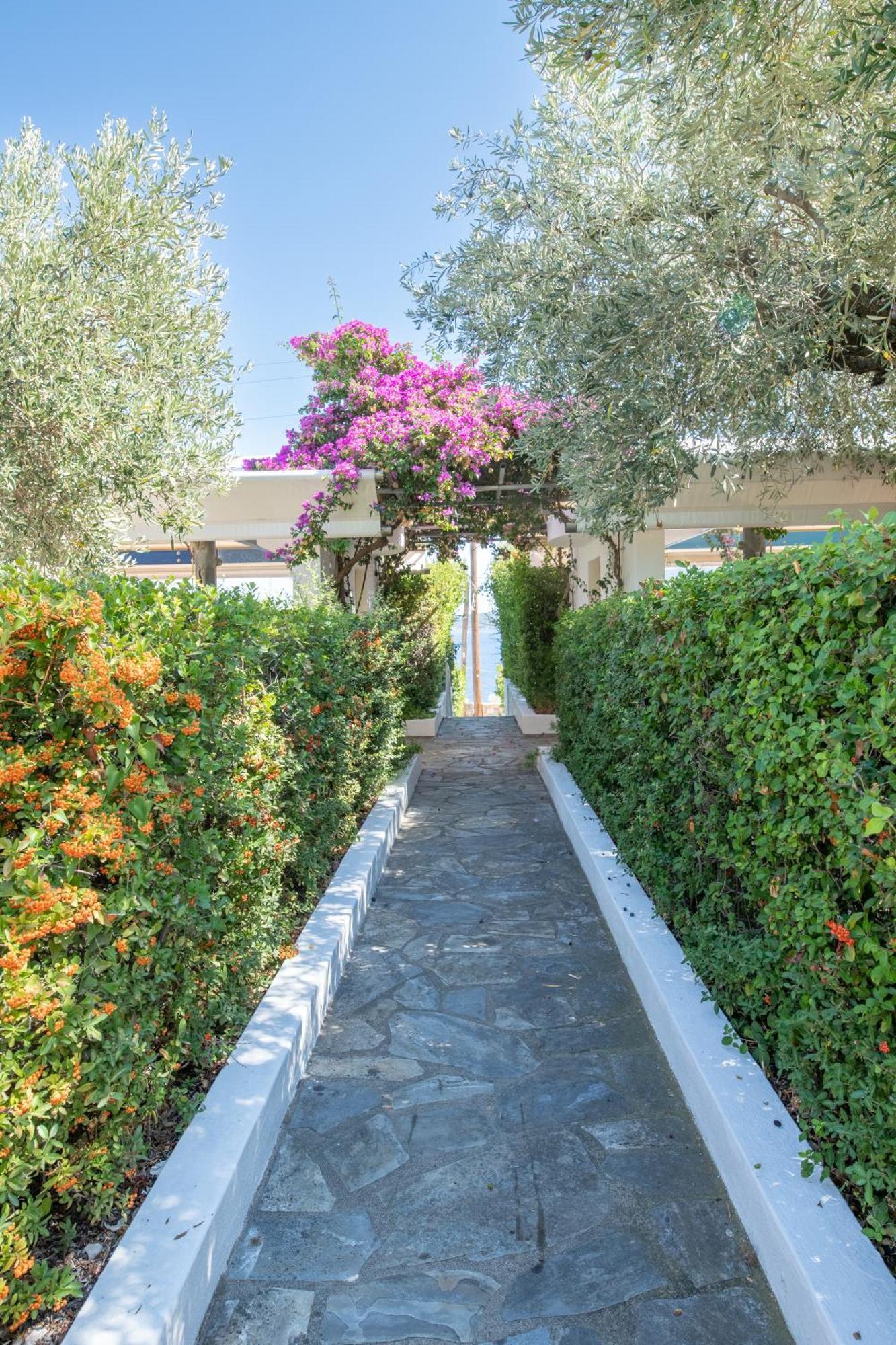 Elea Villas Steni Vala Alonissos Dış mekan fotoğraf