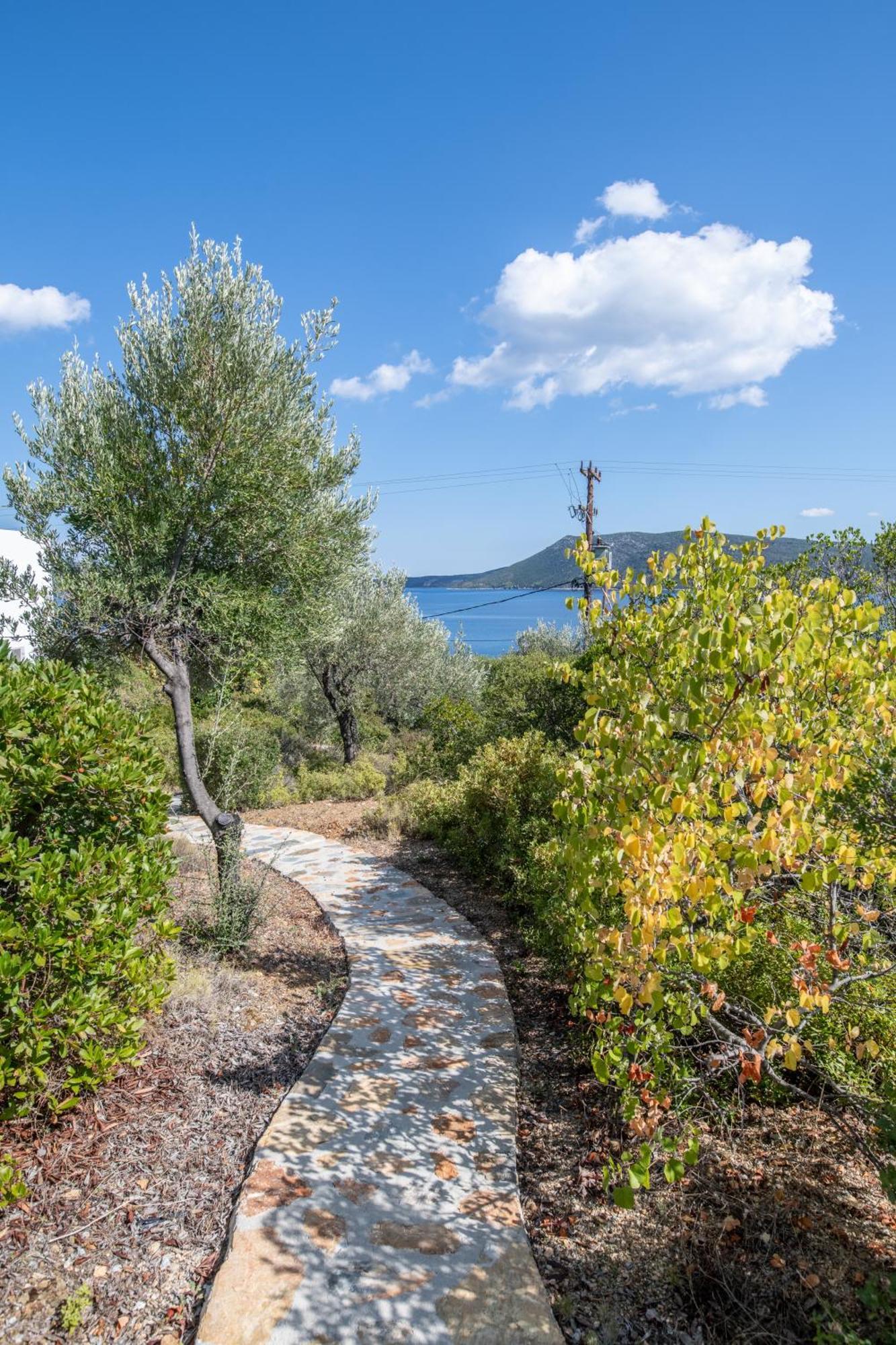Elea Villas Steni Vala Alonissos Dış mekan fotoğraf
